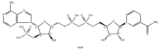 product-522-168 product-522-168